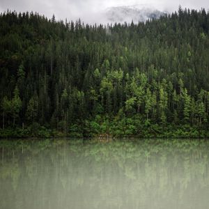 Preview wallpaper forest, trees, reflection, river, nature, landscape, clouds