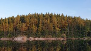 Preview wallpaper forest, trees, reflection, lake, nature