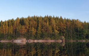 Preview wallpaper forest, trees, reflection, lake, nature