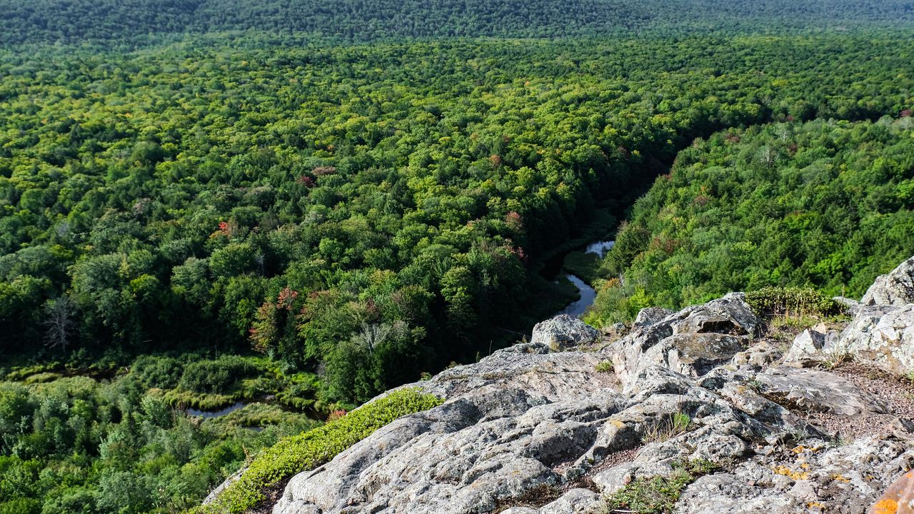 Wallpaper forest, trees, river, hill, stone, landscape, view