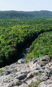 Preview wallpaper forest, trees, river, hill, stone, landscape, view