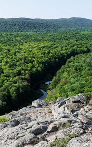 Preview wallpaper forest, trees, river, hill, stone, landscape, view