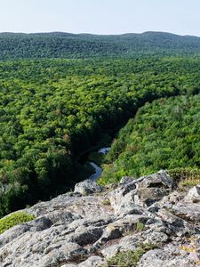 Preview wallpaper forest, trees, river, hill, stone, landscape, view