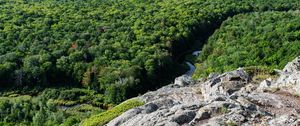 Preview wallpaper forest, trees, river, hill, stone, landscape, view