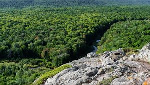 Preview wallpaper forest, trees, river, hill, stone, landscape, view