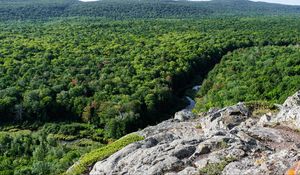 Preview wallpaper forest, trees, river, hill, stone, landscape, view