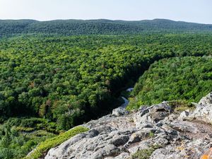 Preview wallpaper forest, trees, river, hill, stone, landscape, view