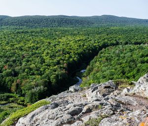 Preview wallpaper forest, trees, river, hill, stone, landscape, view