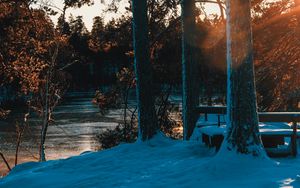 Preview wallpaper forest, trees, river, rays, spring