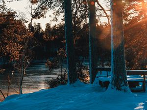 Preview wallpaper forest, trees, river, rays, spring