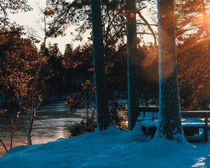 Preview wallpaper forest, trees, river, rays, spring