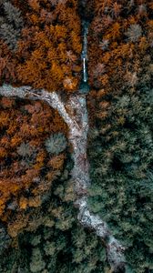 Preview wallpaper forest, trees, river, aerial view, nature