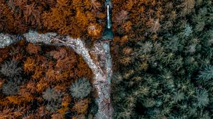 Preview wallpaper forest, trees, river, aerial view, nature