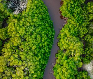 Preview wallpaper forest, trees, river, nature, aerial view