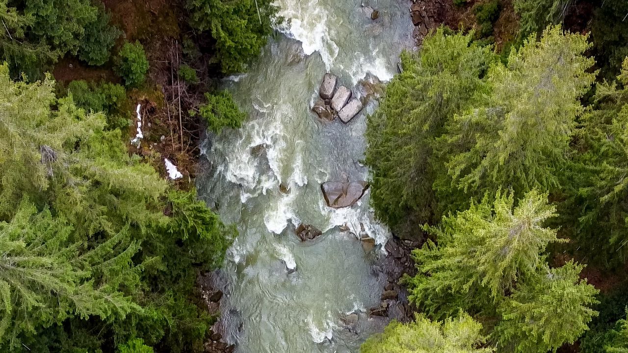 Wallpaper forest, trees, river, waves, aerial view, nature