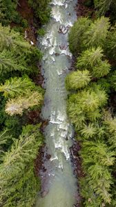 Preview wallpaper forest, trees, river, waves, aerial view, nature