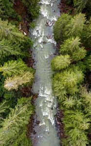 Preview wallpaper forest, trees, river, waves, aerial view, nature