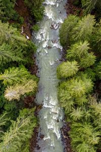Preview wallpaper forest, trees, river, waves, aerial view, nature