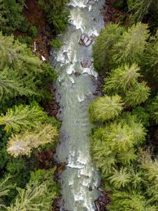 Preview wallpaper forest, trees, river, waves, aerial view, nature