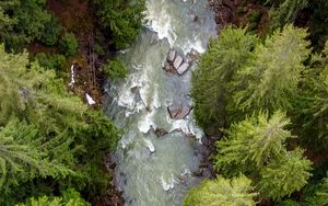 Preview wallpaper forest, trees, river, waves, aerial view, nature