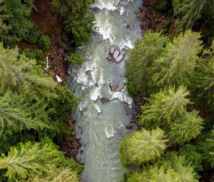 Preview wallpaper forest, trees, river, waves, aerial view, nature