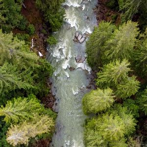 Preview wallpaper forest, trees, river, waves, aerial view, nature