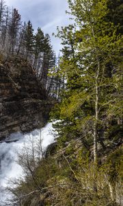 Preview wallpaper forest, trees, river, waterfall, landscape