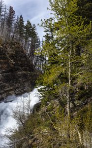 Preview wallpaper forest, trees, river, waterfall, landscape
