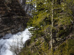 Preview wallpaper forest, trees, river, waterfall, landscape