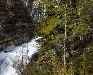 Preview wallpaper forest, trees, river, waterfall, landscape