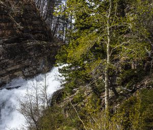 Preview wallpaper forest, trees, river, waterfall, landscape