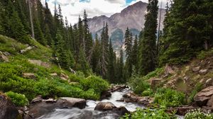 Preview wallpaper forest, trees, river, water, nature, landscape