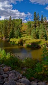 Preview wallpaper forest, trees, river, landscape, green
