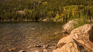 Preview wallpaper forest, trees, river, stones, landscape, nature