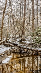 Preview wallpaper forest, trees, river, snow, winter