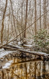 Preview wallpaper forest, trees, river, snow, winter