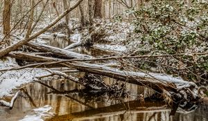 Preview wallpaper forest, trees, river, snow, winter