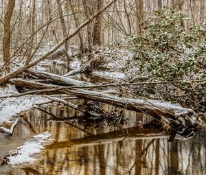 Preview wallpaper forest, trees, river, snow, winter