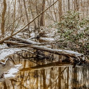 Preview wallpaper forest, trees, river, snow, winter
