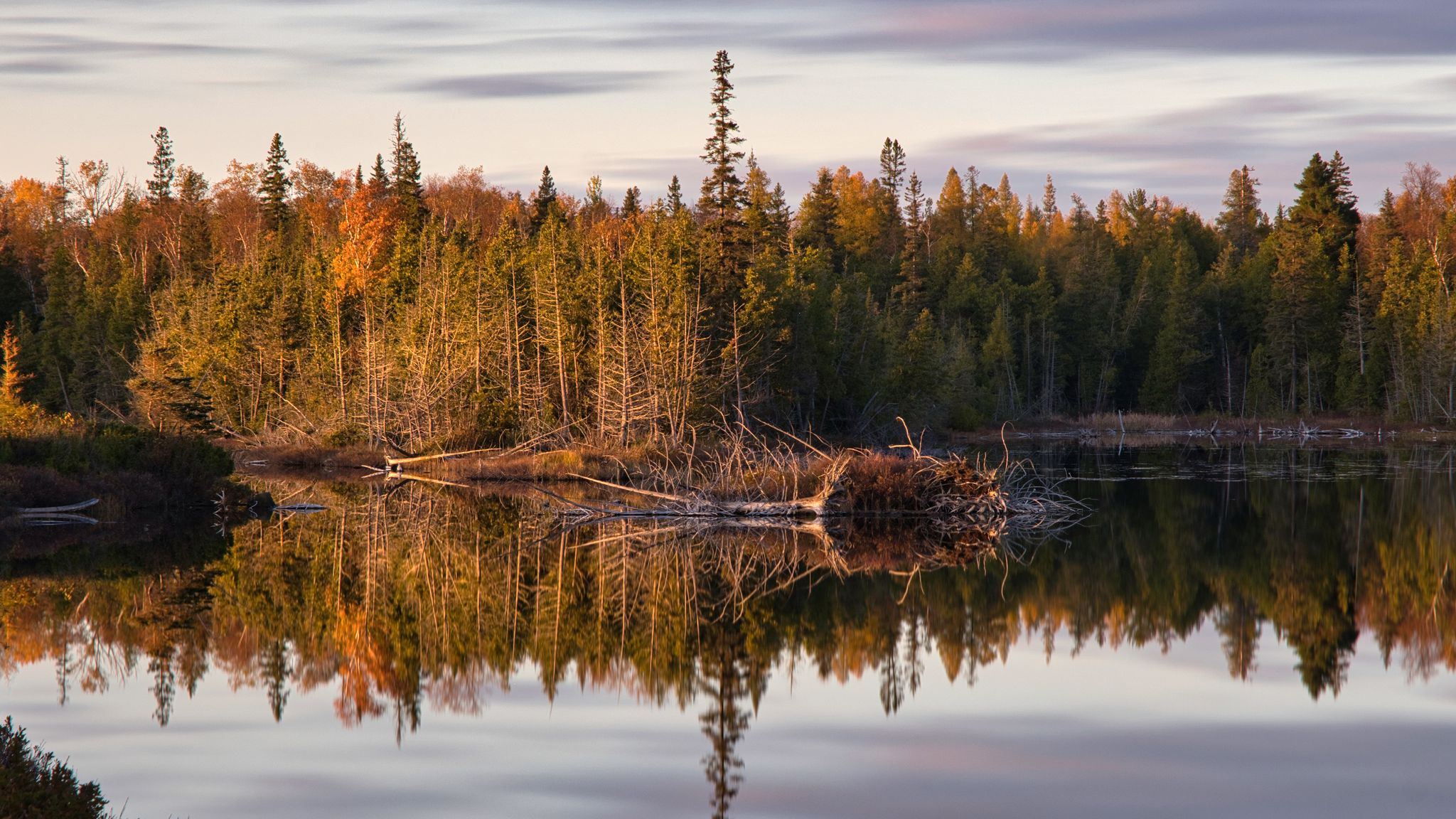 Download wallpaper 2048x1152 forest, trees, river, reflection, nature