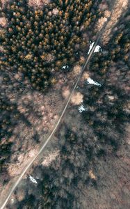 Preview wallpaper forest, trees, road, nature, aerial view