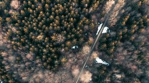 Preview wallpaper forest, trees, road, nature, aerial view