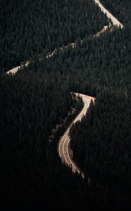 Preview wallpaper forest, trees, road, car, aerial view