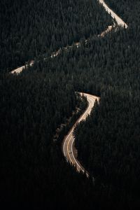 Preview wallpaper forest, trees, road, car, aerial view