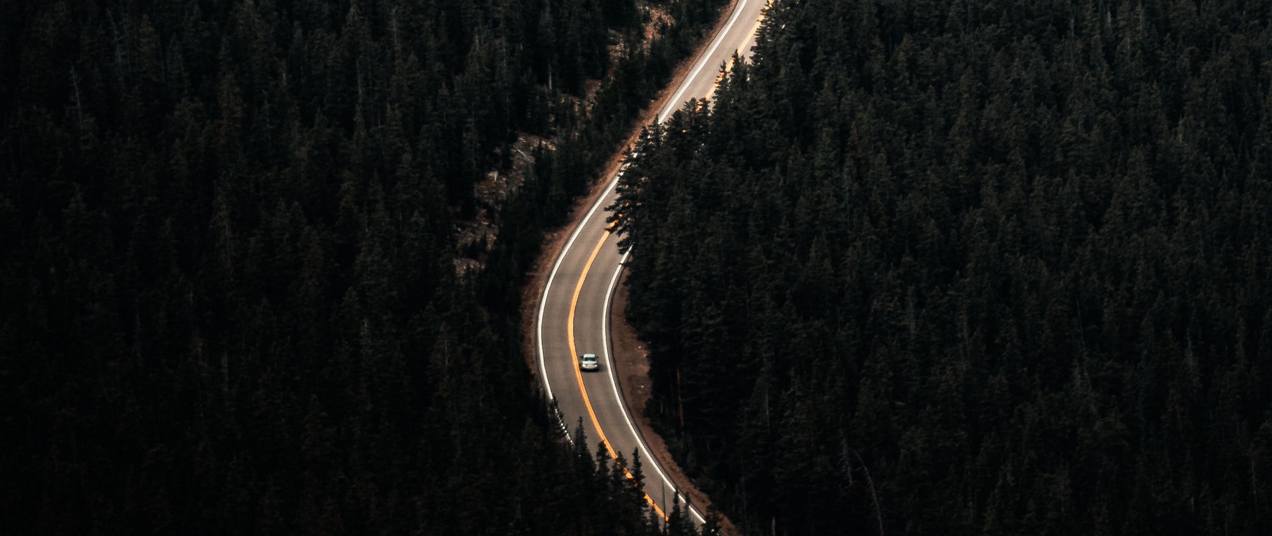 Download wallpaper 2560x1080 forest, trees, road, car, aerial view dual