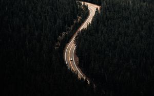 Preview wallpaper forest, trees, road, car, aerial view