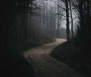 Preview wallpaper forest, trees, road, turn, dark