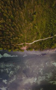 Preview wallpaper forest, trees, road, water, aerial view