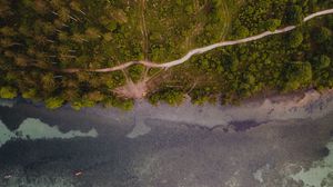 Preview wallpaper forest, trees, road, water, aerial view