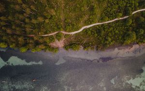 Preview wallpaper forest, trees, road, water, aerial view